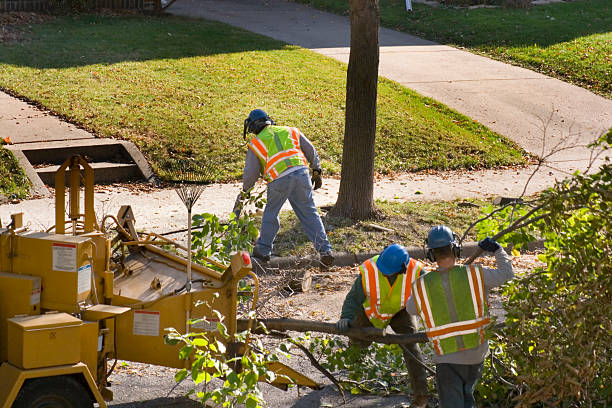 Best Firewood Processing and Delivery  in Kenner, LA